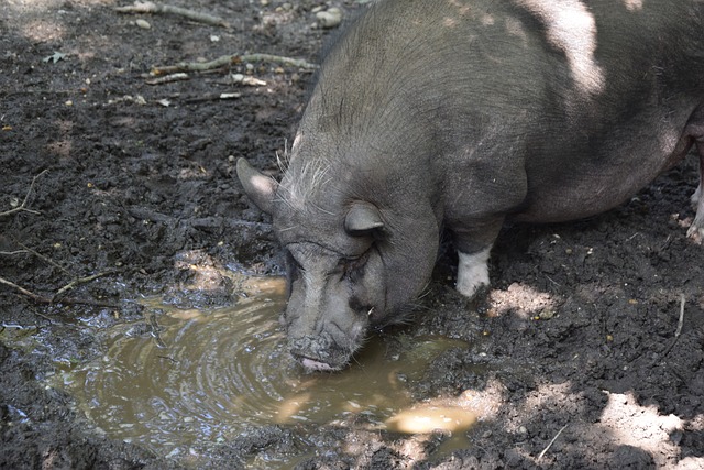 有眾多世界 有眾多世界