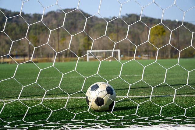 接受媒体专 接受媒体专